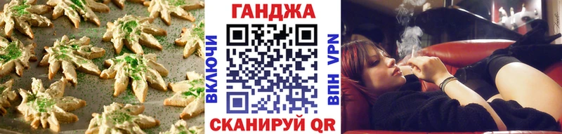 наркотики  ссылка на мегу вход  Cannafood конопля  Новоржев 