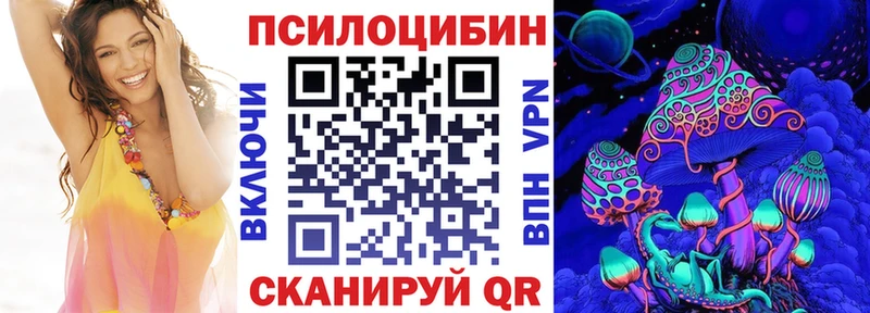 МЕГА tor  Новоржев  сайты даркнета официальный сайт  Галлюциногенные грибы Psilocybe 